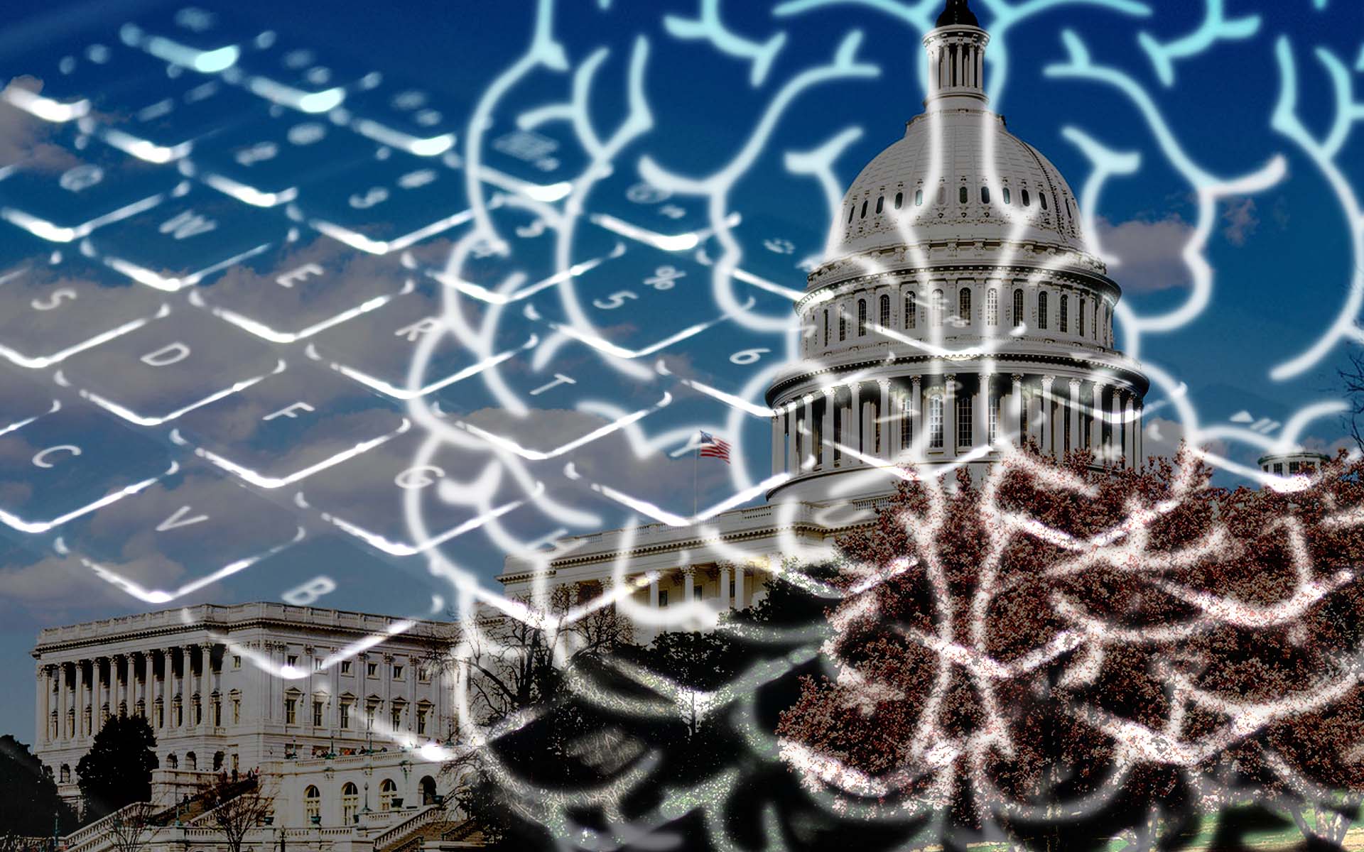 sesgo-cognitivo-democracy