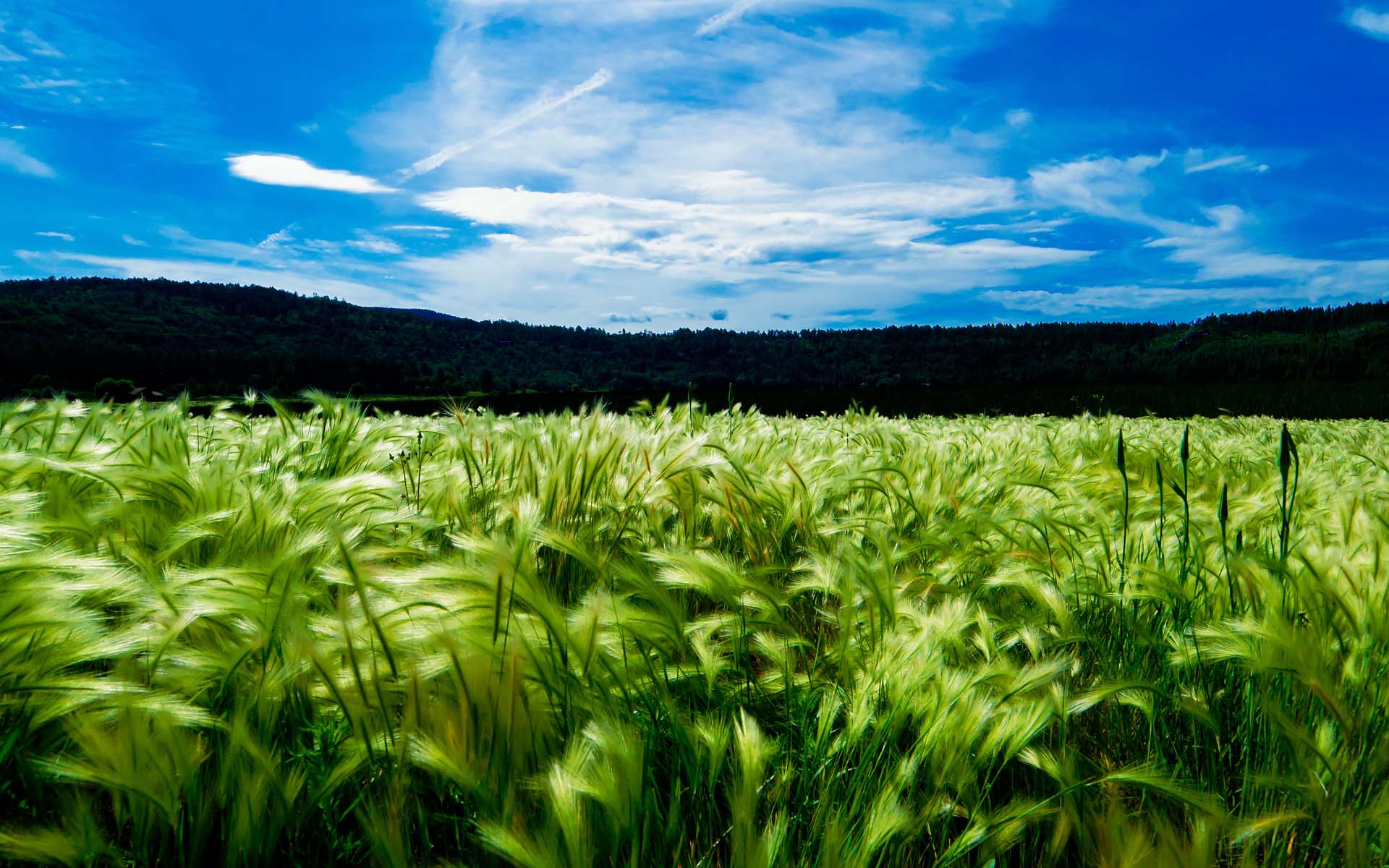 Global_Sustainability_Certifications