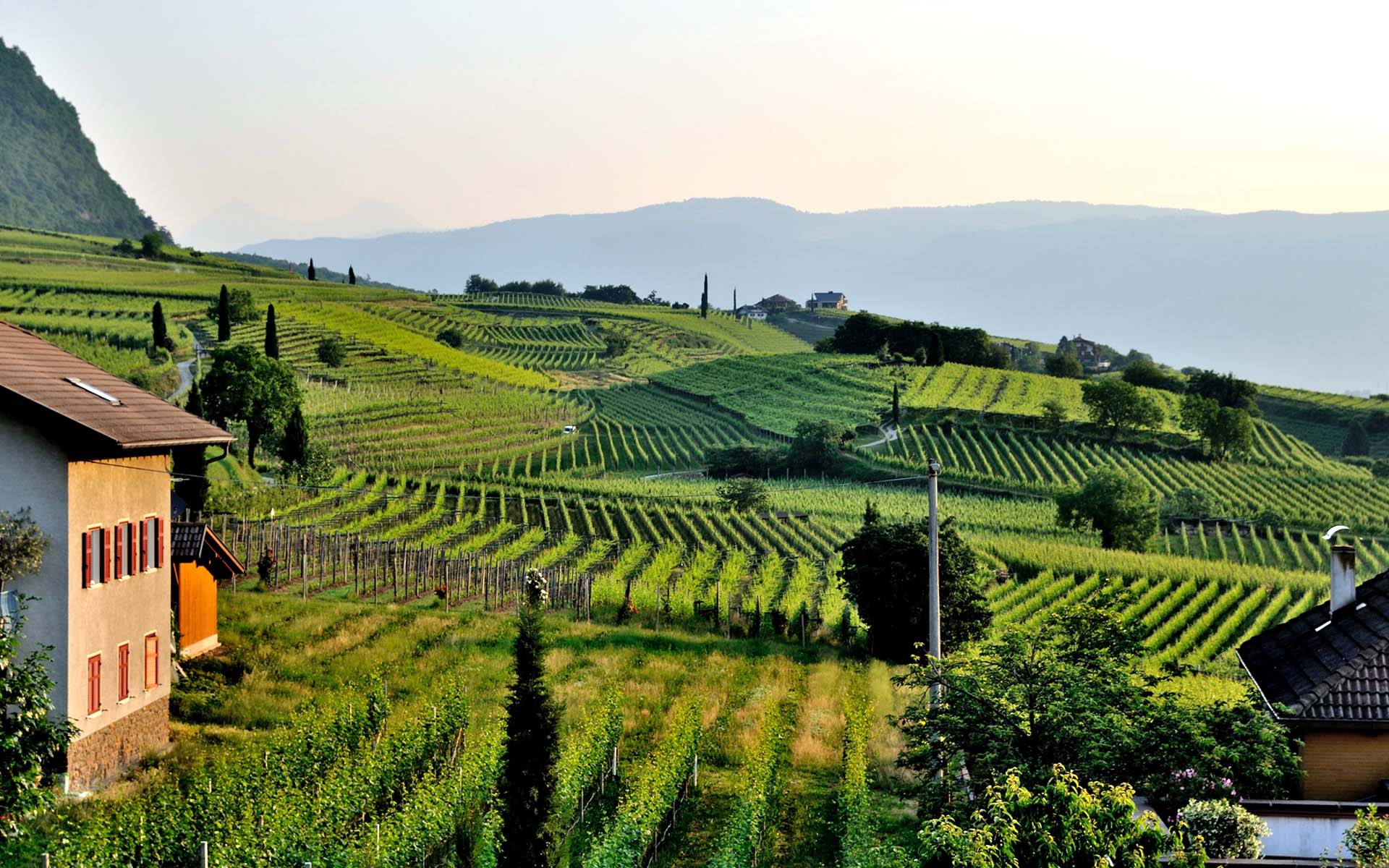 consumidores_de_productos_sostenibles