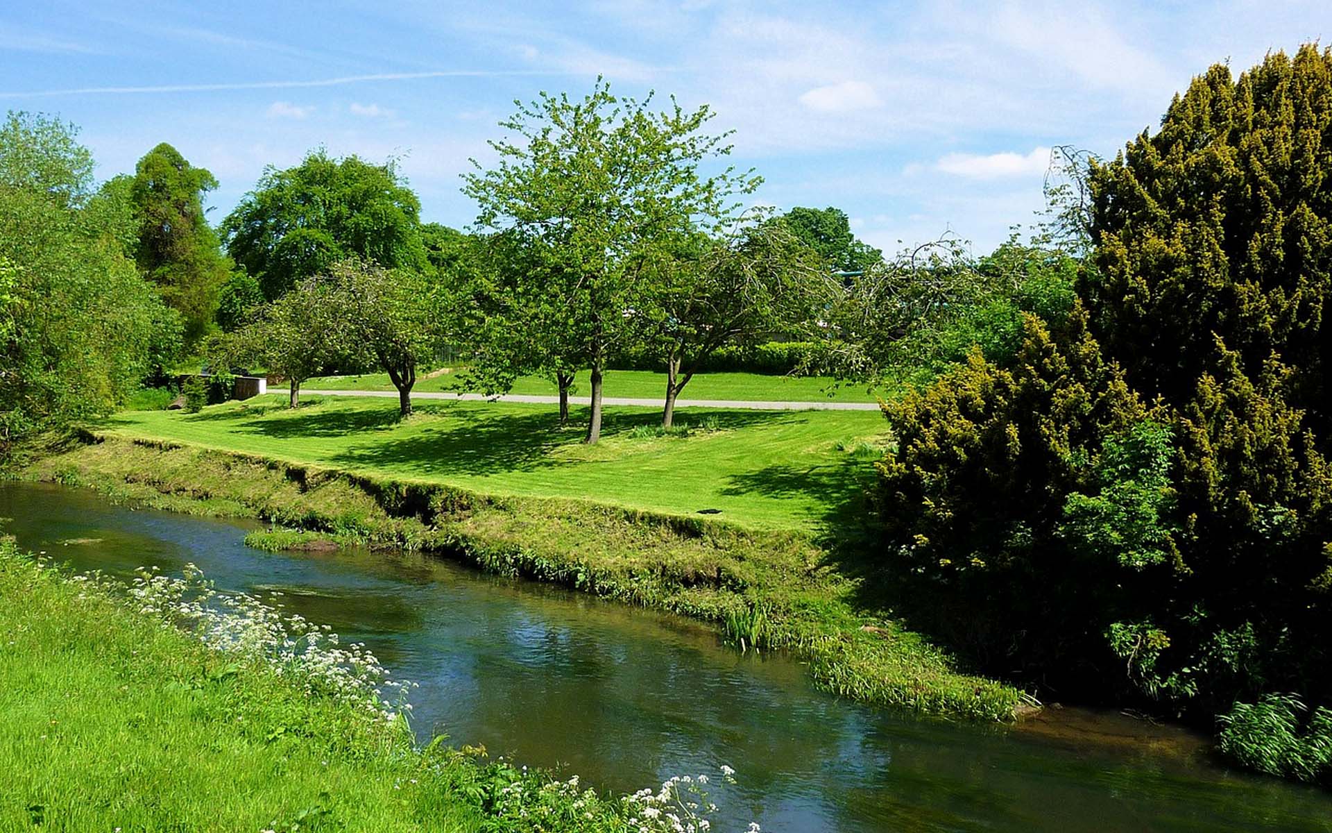 sostenibilidad-postpandemia