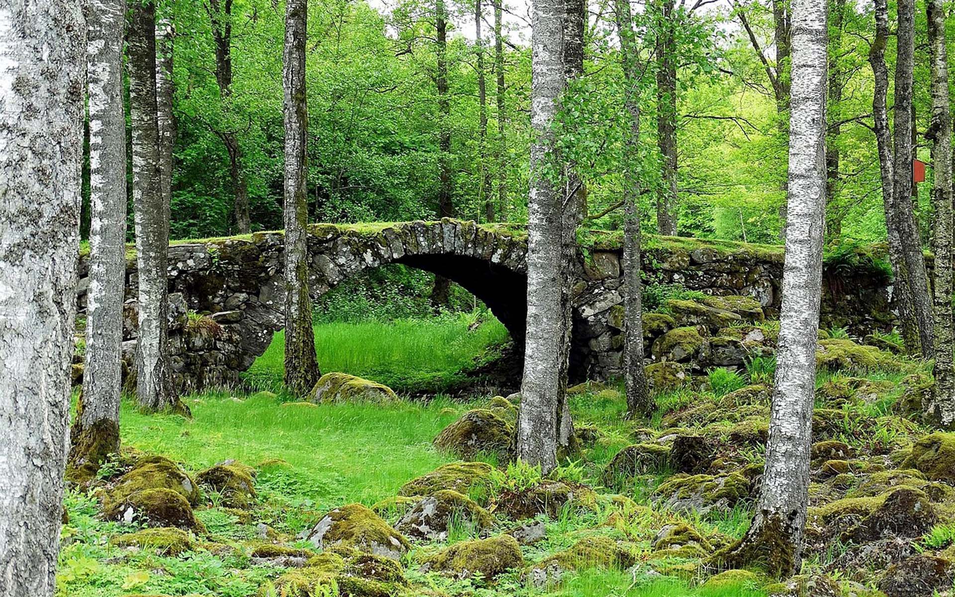 sostenibilidad_recuperacion_renovacion_resiliencia